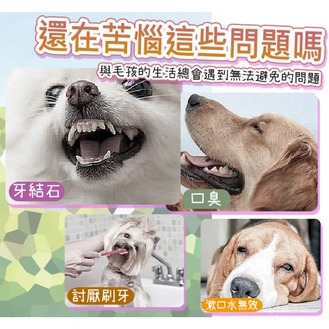 【LIKE PET】寵物潔牙指套濕紙巾 50枚(牙齒清潔濕巾 貓狗刷牙用品)