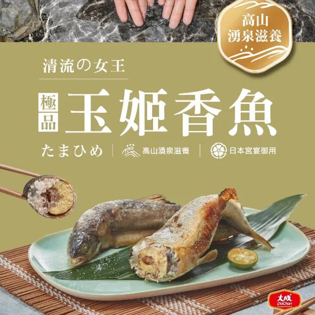 【大成】極品玉姬香魚︱單盒組︱500g／5隻／盒(下酒菜 烤箱 爆卵 母香魚 串燒)