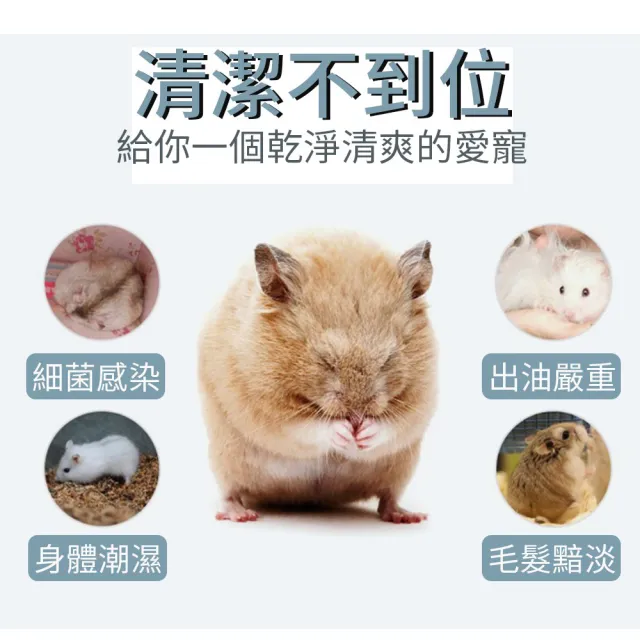 【YOUPICK】PINKIN 愛鼠沐浴砂 500g(鼠消臭沙/鼠沙/寵物鼠砂/UP0361)