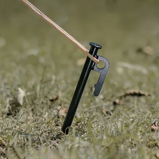 【LIFECODE】特粗鋼材地釘30cm-黑色(10支)