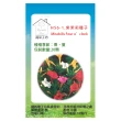【蔬菜工坊】H56-1.紫茉莉種子(貝魯)
