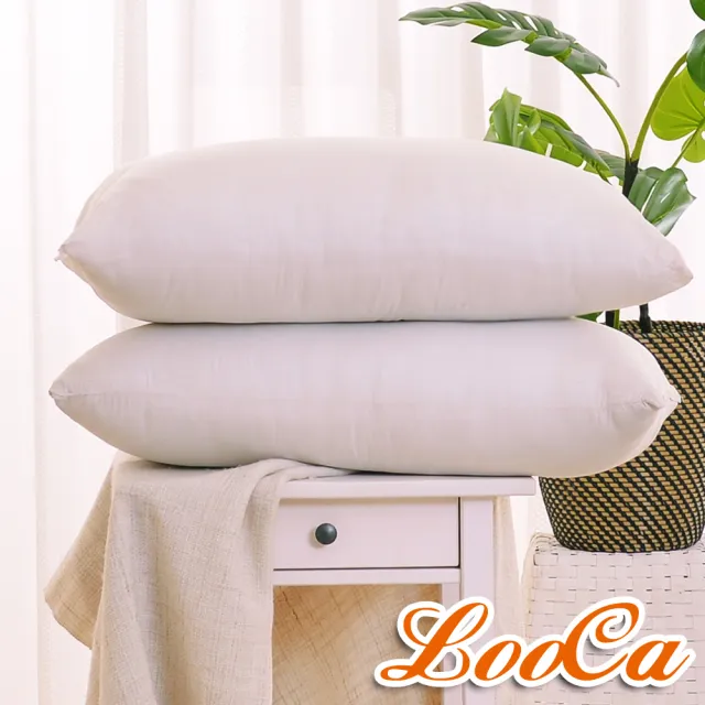 【LooCa】美國抗菌5cm高磅透氣輕便式床墊(雙人5尺-送棉枕x2)