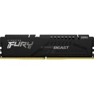 【Kingston 金士頓】FURY Beast 獸獵者 DDR5-5600 16G桌上型超頻記憶體(★KF556C36BBE-16)