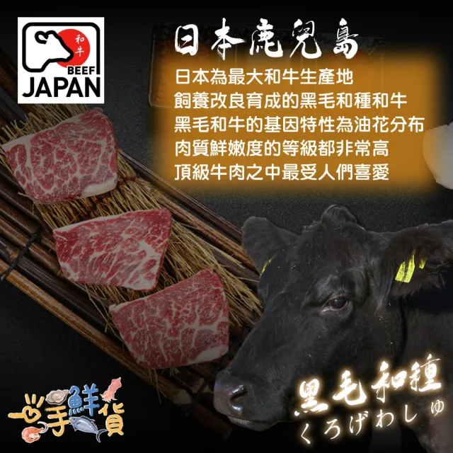 【一手鮮貨】日本鹿兒島A5和牛燒肉片(6盒組/單盒100g)