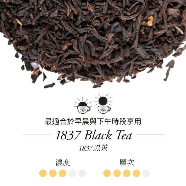 【TWG Tea】迷你茶罐雙入組 1837紅茶 20gx2罐(1837 Black Tea;紅茶)