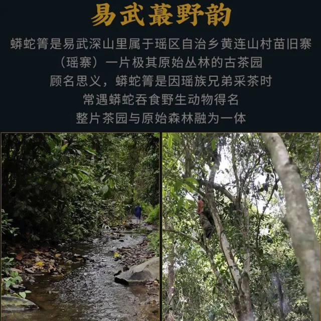 【盛嘉源】蟒蛇箐 2010(普洱茶   生茶 357g)