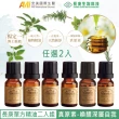 【長庚生技】真原單方精油10ml*2瓶超值組(迷迭香 尤加利 檸檬 甜橙 薄荷 茶樹  松針 香茅 香味擇1)