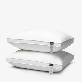 【Zhuyin】高彈力深睡眠抗菌防螨枕 枕頭 二入 48cmx74cm/二個(可機洗 抗菌 舒適助眠)