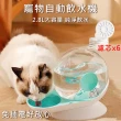 【媽媽咪呀】頂級透明蝸牛寵物自動飲水機(附濾芯6片/盒)