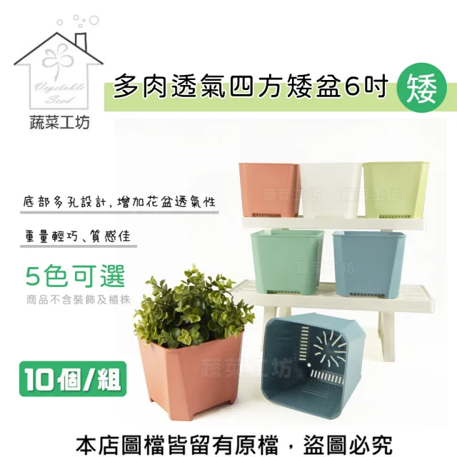 【蔬菜工坊】多肉透氣四方矮盆6吋-矮- 10個/組(共5色可選)