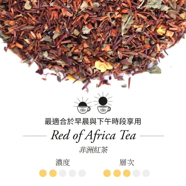 【TWG Tea】時尚茶罐雙入禮盒組 非洲南非國寶茶100g+摩洛哥薄荷綠茶100g(南非國寶茶+綠茶)