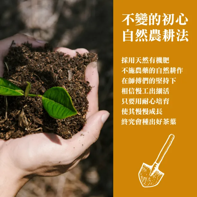 【名池茶業】蜜果香甜手採梨山金萱烏龍茶葉(150gx8)