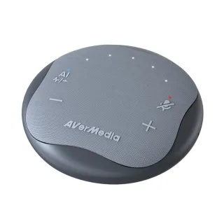 【AVerMedia 圓剛】AS315 智慧抗噪通話會議揚聲器(石墨黑)