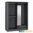 【綠活居】泰吉爾4.9尺多功能推門衣櫃(三色可選＋含穿衣鏡面)
