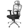 【GXG 吉加吉】高背美臀 電腦椅  2D滑面手游扶手(TW-115 EA2JM)