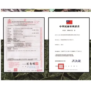 【索爾機油☆台灣好購】燃油系統添加劑-超值六入組(汽油精 清除積碳 環保省油 M1無敵小綠綠 台灣好購)