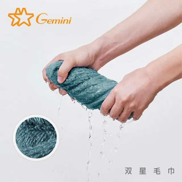 【Gemini 雙星】飯店級雙股編織系列毛巾(超值6入組)