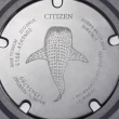 【CITIZEN 星辰】PROMASTER 1982復刻光動能鯨鯊限定潛水錶-藍45.8mm(BN0225-04L 附贈黑色延長錶帶)