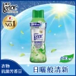 【Lenor 蘭諾】衣物芳香豆/香香豆/抗菌豆 490ml 罐裝*2(陽光森林香/清爽海洋香)