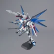 【BANDAI 萬代】MG 1/100 FREEDOM Ver 2.0 自由鋼彈(萬代模型 模型玩具 組裝模型 鋼彈模型)