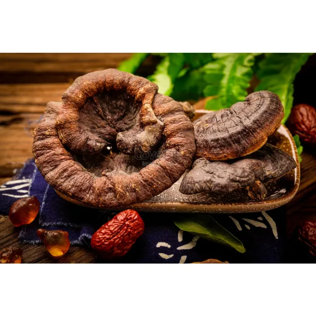 【亞源泉】特級野生紫靈芝500g 1包(贈亞源泉系列商品2包)