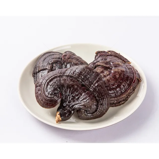 【亞源泉】特級野生紫靈芝500g 2包(贈亞源泉系列商品2包)