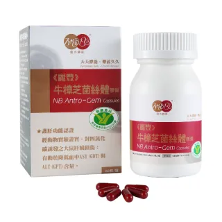 【麗豐】牛樟芝菌絲體膠囊-60粒/盒(健康食品認證)