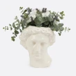 【DOIY】阿波羅神花器(花器、花瓶、園藝、植物)