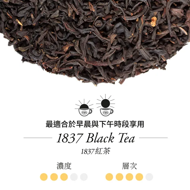 【TWG Tea】迷你茶罐雙入組 摩洛哥薄荷綠茶 20g/罐+1837紅茶20g/罐