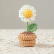 【小花花】盆栽花毛線DIY材料包(附工具 居家 裝飾 擺飾 美勞 勞作 手作 編織)