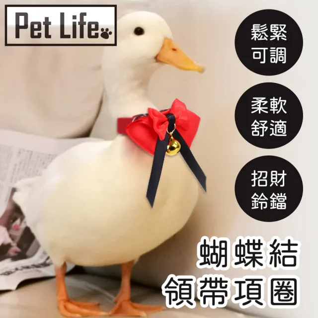 【Pet Life】柯爾鴨寵物鴨鸚鵡小鳥蝴蝶結領帶項圈