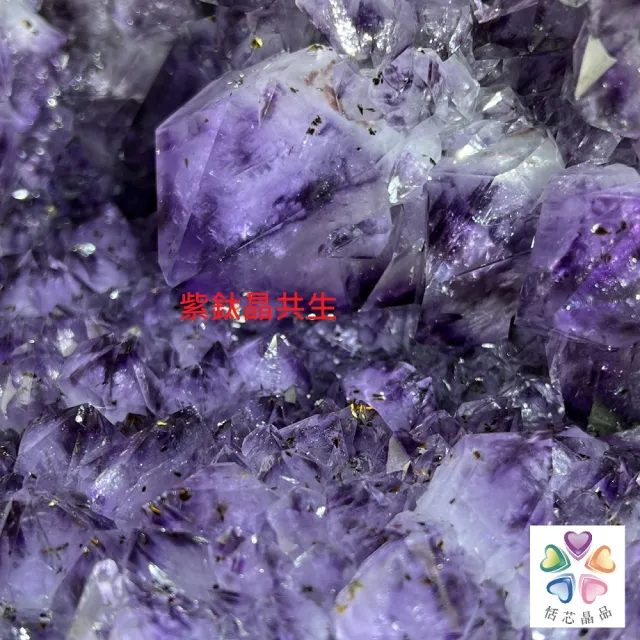 【恬芯晶品】巴西28.85KG大牙紫鈦晶洞新居財位擺設KA32(紫水晶洞開運水晶洞招財招貴人新居開業紫晶洞新春)