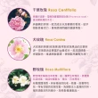 【Jollyard 潔麗雅】Vintage Rose 古典玫瑰魅麗潤護髮霜 210g(染燙、受損髮適用)