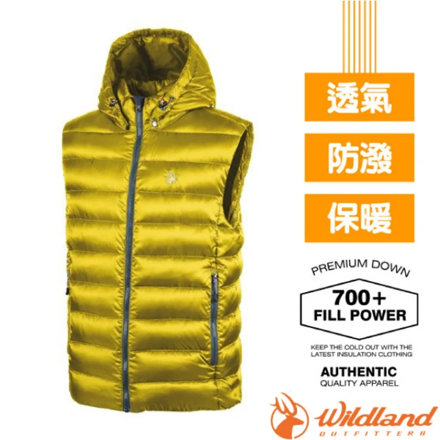 Wildland 荒野