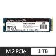 【Team 十銓】MP33Q 1TB M.2 PCIe 固態硬碟