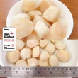 【小川漁屋】北海道生食級熟干貝6包(200g±10%/包)