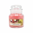 【YANKEE CANDLE】香氛蠟燭 104g-仲夏之夜/夜半茉莉/裁剪玫瑰/盛開茶花 等多款任選(國際航空版)