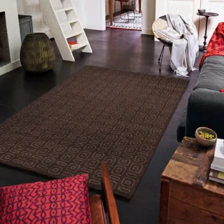 【Fuwaly】德國Esprit home 迴紋地毯-170x240cm-ESP2822-01(現代 迴紋針 書房 客廳 大地毯)
