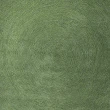 【Fuwaly】德國Esprit home 綠恆地毯-170x240cm ESP3307-05(簡約 柔軟 綠色 厚實)