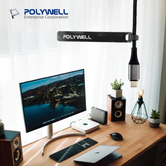 【POLYWELL】針型束線帶 黑灰藍/ 包色15入