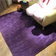 【Fuwaly】凡地剛-紫地毯-160x230cm(簡約 素色 柔軟 客廳 起居室)