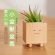 【TIDY HOUSE】[台灣設計 快速出貨]小盆獸盆栽(造型花器 室內小盆栽)