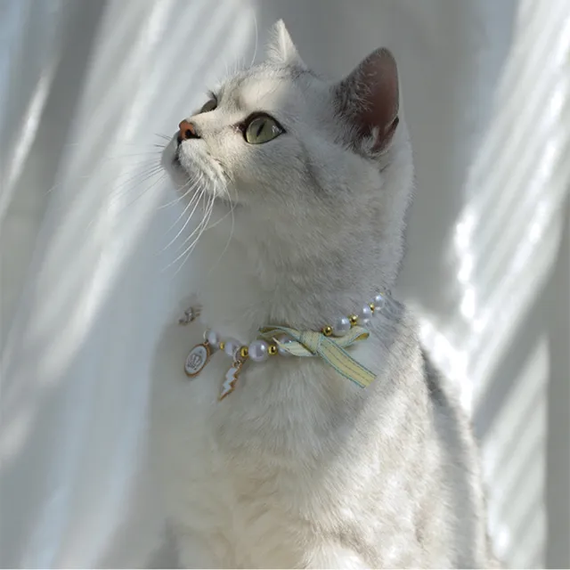 【The Rare】貓咪蝴蝶結珍珠項圈 可調節寵物項圈