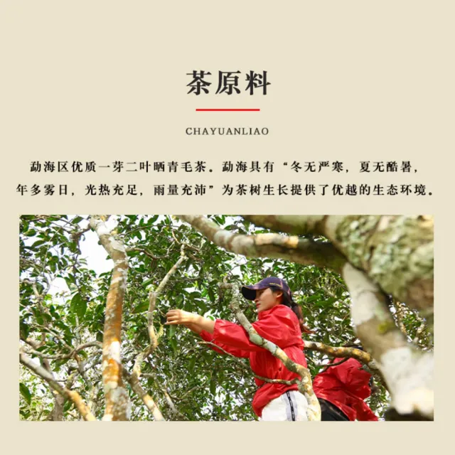 【盛嘉源】可以興 2020 杰一口(普洱茶   熟茶 357g)