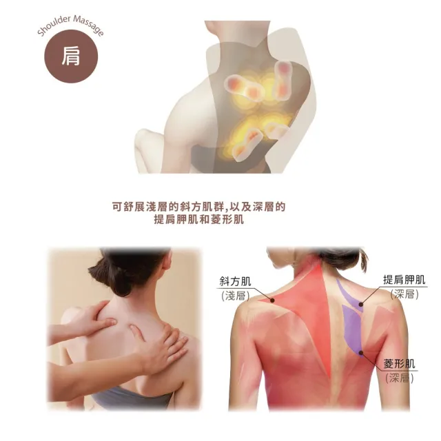 【台隆手創館】ATEX LOURDES V型溫感指壓按摩椅墊-煙燻灰/奶霜杏 AX-HPL368(按摩枕)