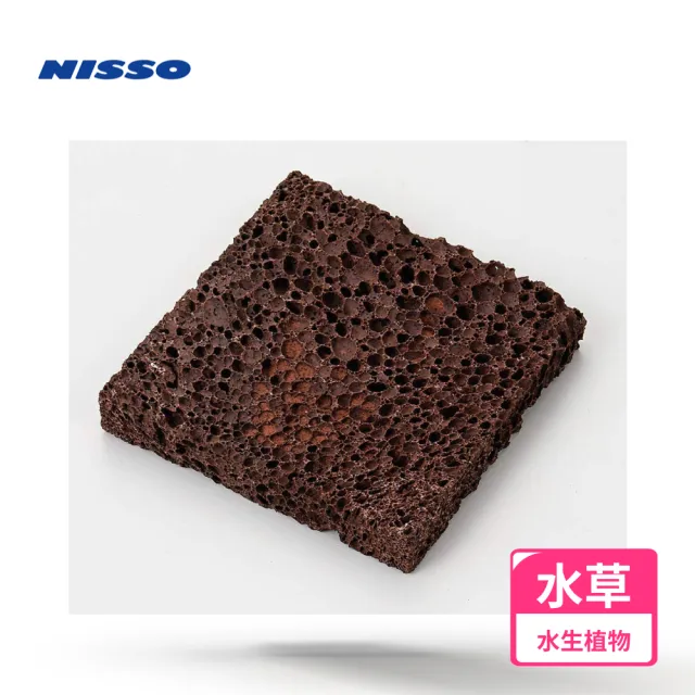 【NISSO 尼索】珍珠草培養石片(前景草 南美草 天然水草 莫絲)