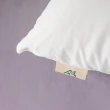 【青鳥家居】買1送1-byebye失眠羽絲絨抗靜電枕