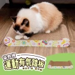【毛孩的秘密生活】貓教練-運動有氧踏板(貓抓板/玩具球/耐磨/磨爪)