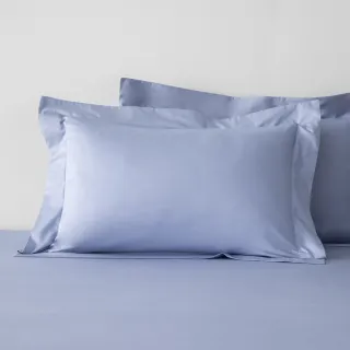 【HOLA】純棉素色歐式枕套2入-藍紫