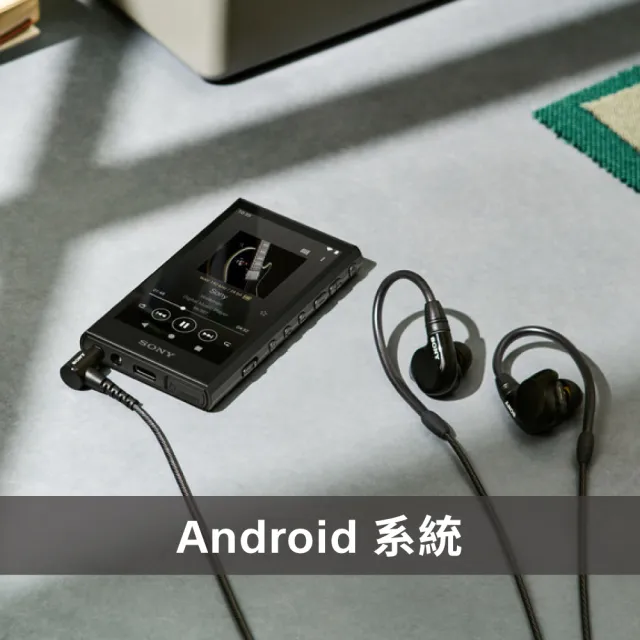 SONY 索尼】NW-A306(可攜式音訊播放器Walkman 數位隨身聽) - momo購物